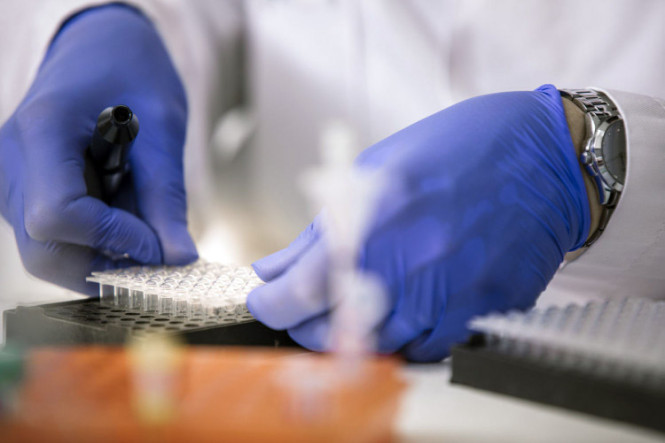 Lorem ipsum dolor sit amet, consectetur adipiscing sollicitudin.